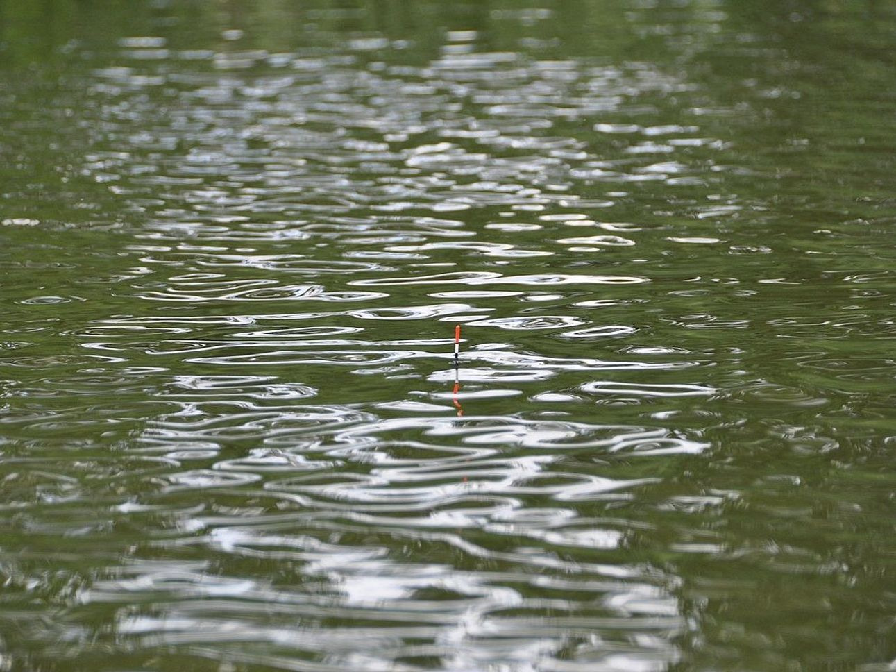 Experienced fishing guide
